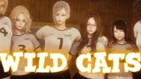 Wild Cats cover