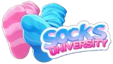 Socks University cover