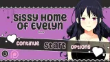 Sissified Husband of Evelyn cover