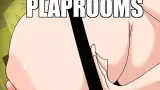PlapRooms cover