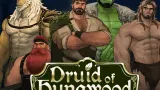 Druid of Hungwood cover
