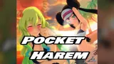Pocket Harem cover
