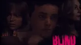 Blind cover