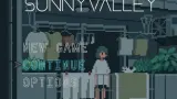 A New Life in SunnyValley cover
