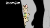 RoomSim cover
