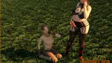 Martique's Farm cover