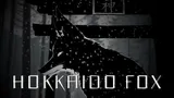 Hokkaido Fox cover