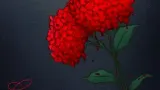 Crimson Hydrangea cover