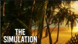 The Simulation cover