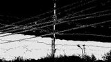 EMPTY-66822 cover