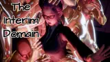 The Interim Domain cover