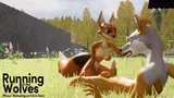 The Running of the Wolves cover