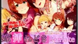 Bride insertion time Remake cover