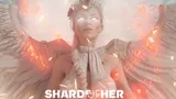 Shards of Her cover