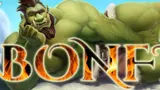 Bonfire cover