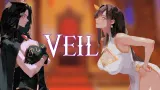 Veil cover