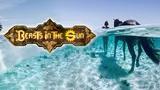 Beasts in the Sun cover